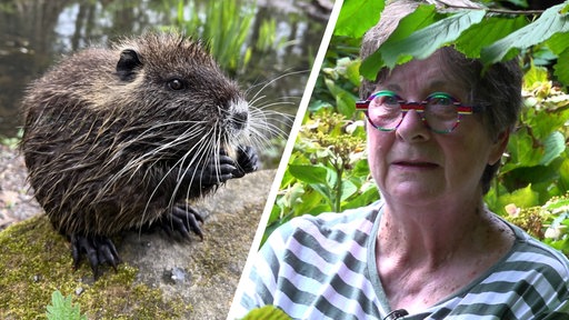 Links Nutria, rechts Christa Koch