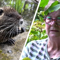 Links Nutria, rechts Christa Koch