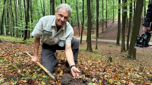 Es regnet über der Haard 
