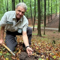 Es regnet über der Haard 