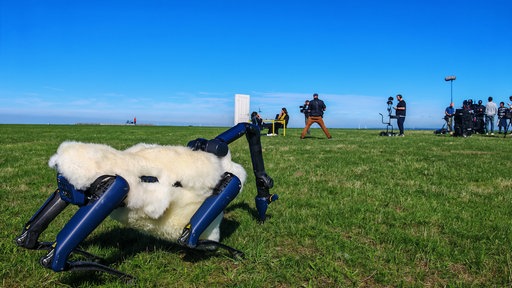 Eine Art mechanisches Schaf auf einer Wiese mit Distanz zu einem Kamerateam und 2 Frauen im Gespräch an einem Tisch im Hintergrund