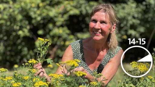 Kräuterexpertin Ursula Stratmann sitzt zwischen blühenden gelben Pflanzen und hält einen Stängel mit gelben Blüten in der Hand.