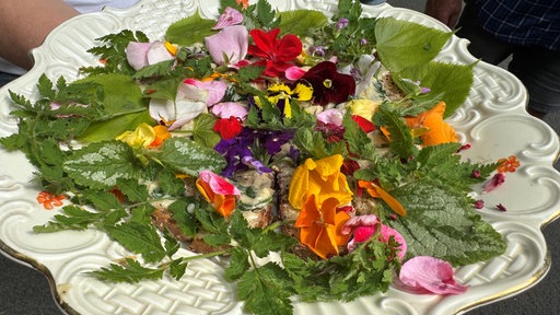 Auf einem Teller liegen Wildkräuter und bunte, essbare Blumen