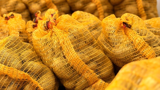 Mehrere Säcke mit geernteten Kartoffeln