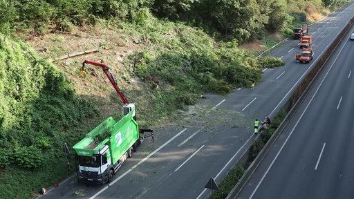 Mehrere Bäume liegen auf den Fahrbahnen der Autobahn 52 bei Mülheim. 
