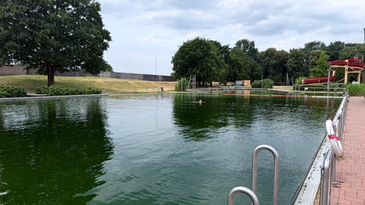 Das Bild zeigt ein grünes Becken im Naturbad Mülheim-Styrum.