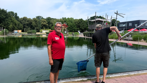 Das Bild zeigt Menschen dabei, wie sie mit einem Kescher an einem Pool stehen.