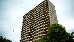 Ein entkerntes Hochhaus, davor ein paar Bäume sowie fliegende Tauben am Himmel