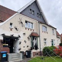 An der Fassade eines Hauses in der Herner Siedlung Teutoburgia hängen mehrere große Kunstspinnen, außerdem ist ein großes künstliches Spinnennetz bis in den Vorgarten gespannt