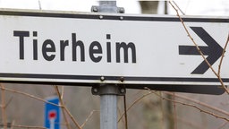 Auf dem Foto ist ein Wegweiser-Schild mit der Aufschrift "Tierheim".
