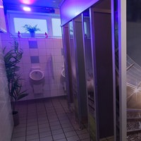 Toilette mit lila Lichtern und bemalten Wänden