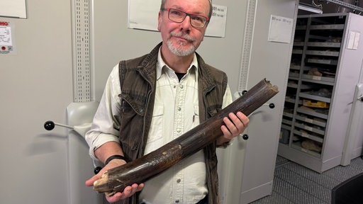 Hans Martin Weber mit dem Stosszahn des Mammuts