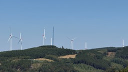 Windräder stehen hinter einem Waldstück