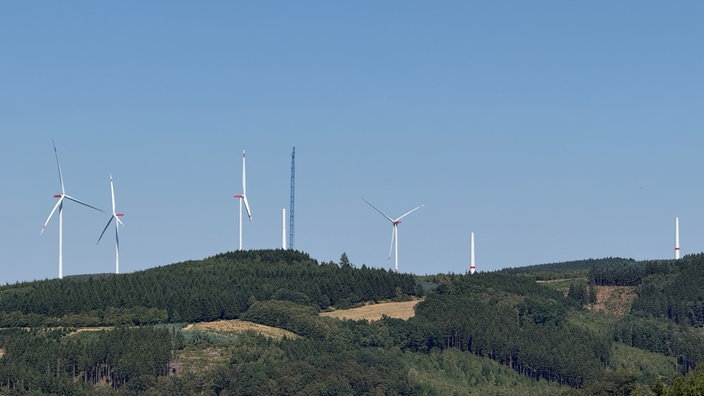 Windräder stehen hinter einem Waldstück