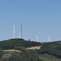 Windräder stehen hinter einem Waldstück