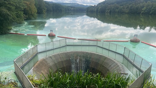 Blaualgen im Hennesee 