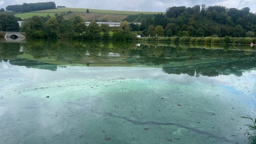 Blaualgen im Hennesee 