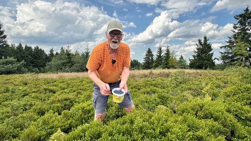 Ein Mann steht auf einem Feld und hält einen kleinen Eimer mit Blaubeeren in der Hand.
