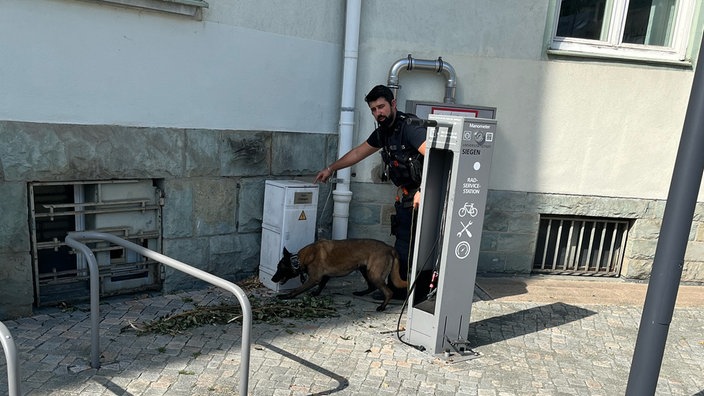 Diensthündin Freya auf der Suche nach Drogen