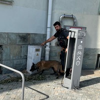 Diensthündin Freya auf der Suche nach Drogen