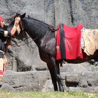 Schauspieler Winnetou mit seinem Pferd 