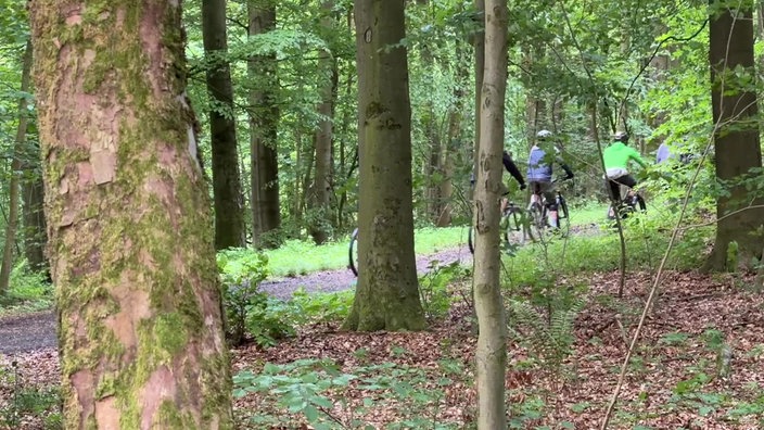 Mehrere Radfahrer auf einem Waldweg am Berg um den Danzturm in Iserlohn