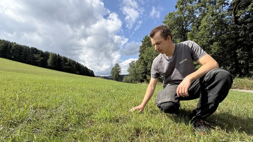 Mann streicht über Gras auf einer Wiese