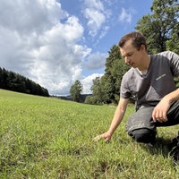 Mann streicht über Gras auf einer Wiese
