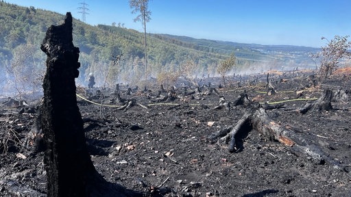 Nach dem Waldbrand in Sundern sind 80.000 Quadratmeter verkohlt