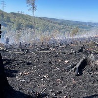 Nach dem Waldbrand in Sundern sind 80.000 Quadratmeter verkohlt