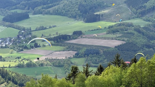 Gleitschirm-Piloten in der Luft 