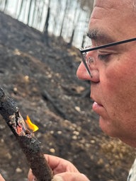 Ästchen aus dem Waldboden brennt