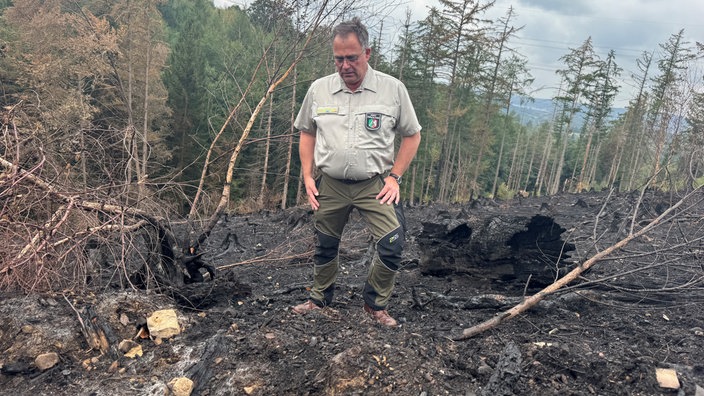 Förster Marc Messerschmidt auf einer verbrannten Waldfläche