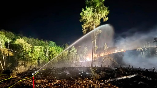 Löschungsarbeiten gegen den Waldbrand