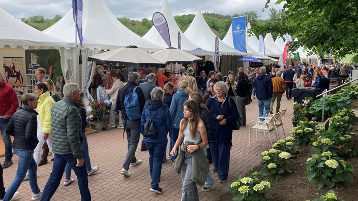 Das Reitturnier Balve Optimiert war sehr gut besucht. Viele Gäste sahen sich auch bei den Ausstellern um.
