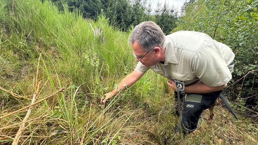 Marc Messerschmidt schaut sich die Waldflächen genauer an 