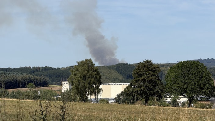 Dunkler Rauch zieht über einem Wald auf.