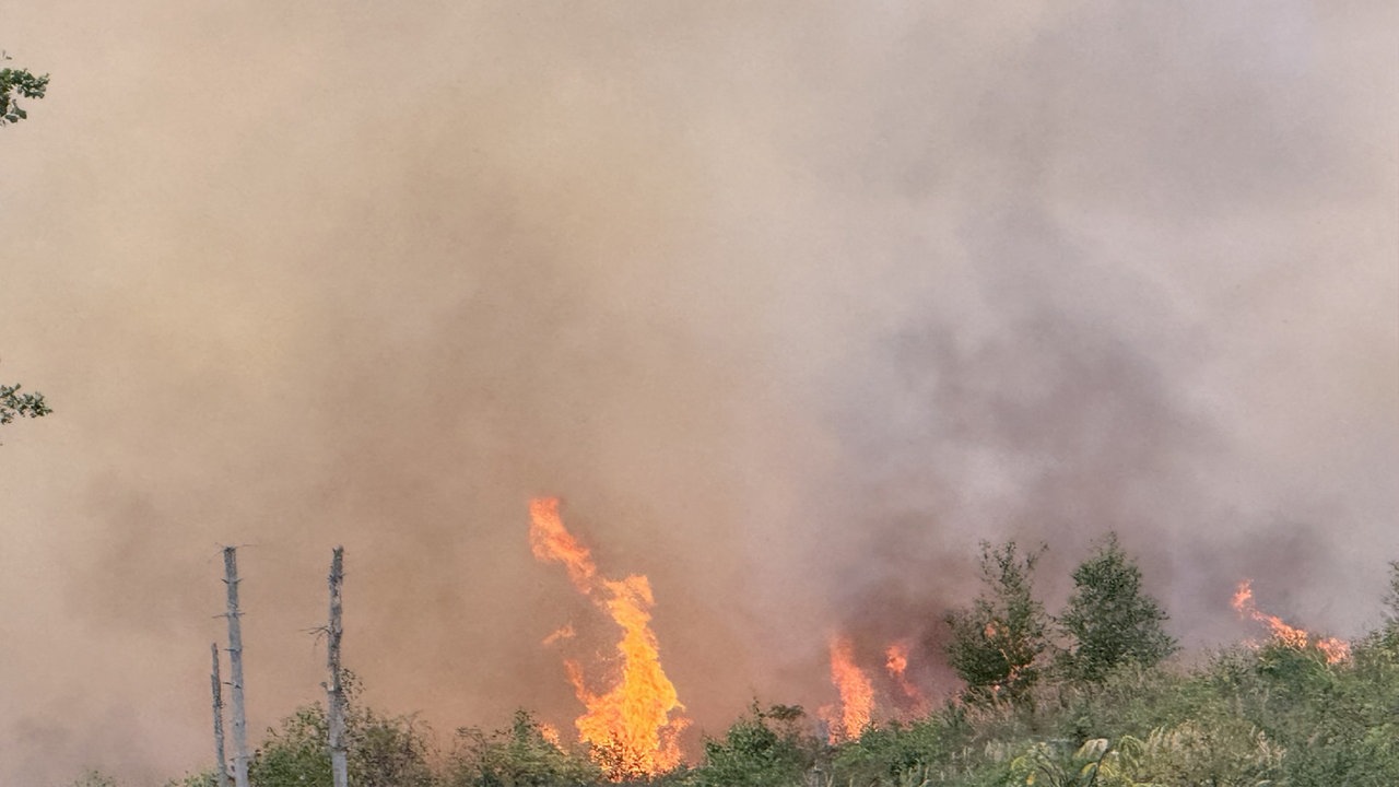 Waldbrand bei Sundern