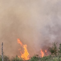 Waldbrand bei Sundern