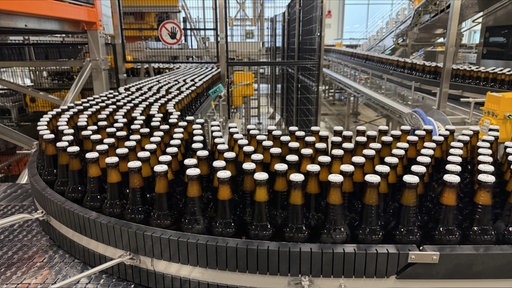 Bierflaschen auf einem Fließband in einer Produktionshalle.