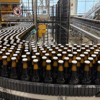 Bierflaschen auf einem Fließband in einer Produktionshalle.
