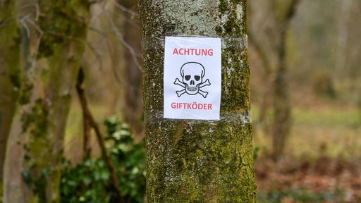 Ein Zettel, der vor Giftködern warnt, hängt an einem Baum