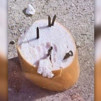 Wurst voller Nägel in Lippstadt ausgelegt