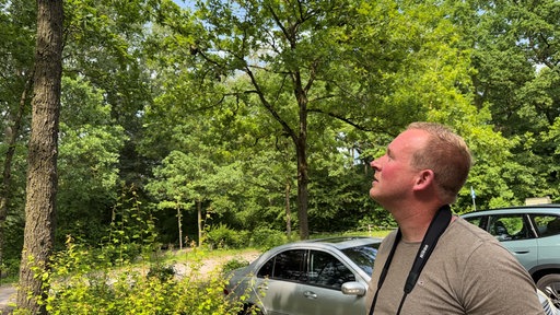 Fabian Nienaber überprüft den Baumbestand in Lippstadt