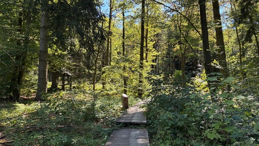 Nationalpark in Siegen Wittgenstein