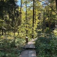 Nationalpark in Siegen Wittgenstein
