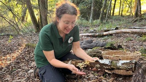 Christine Speck, Pilz-Coach