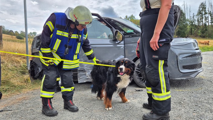 Ein Feuerwehrmann hält einen Hund an der Leine. Im Hintergrund ein zerstörter Kleintransporter.