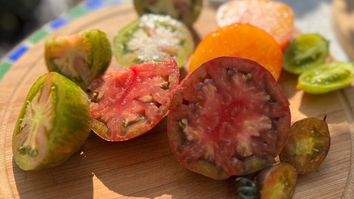 Bunte Tomaten