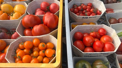Tomaten in Kisten